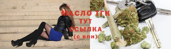 индика Нефтекумск